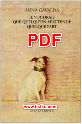 je voudrais que quelqu'un m'attende quelque part pdf